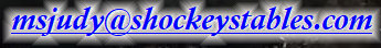 shockeystables_version_1007002.jpg